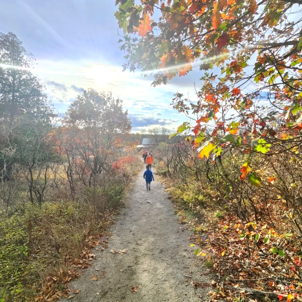 Meet your Posher, Aileen